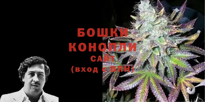 Бошки Шишки OG Kush  Алейск 